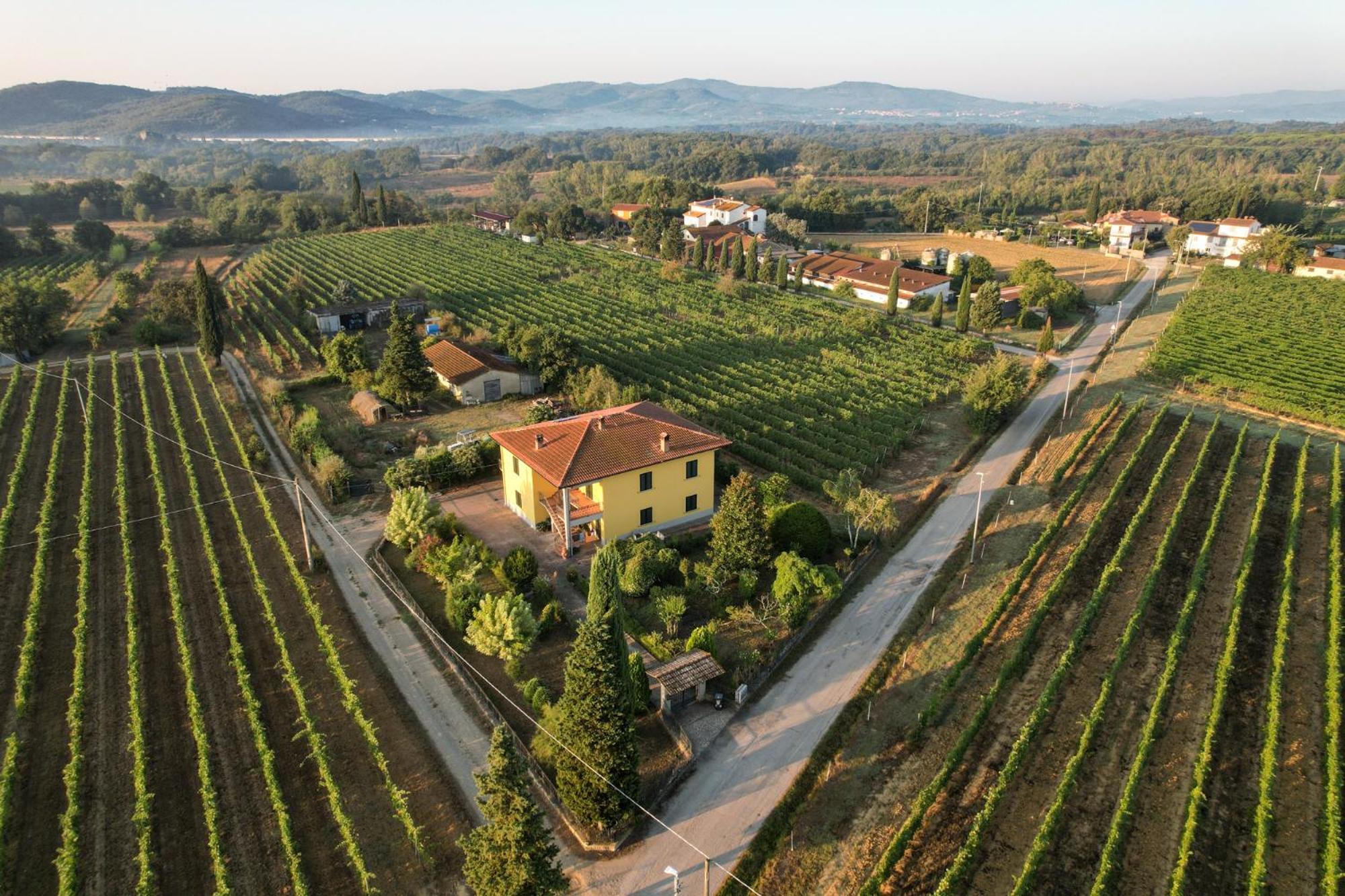 Cappannelle Country House Tuscany Castiglion Fibocchi Zewnętrze zdjęcie