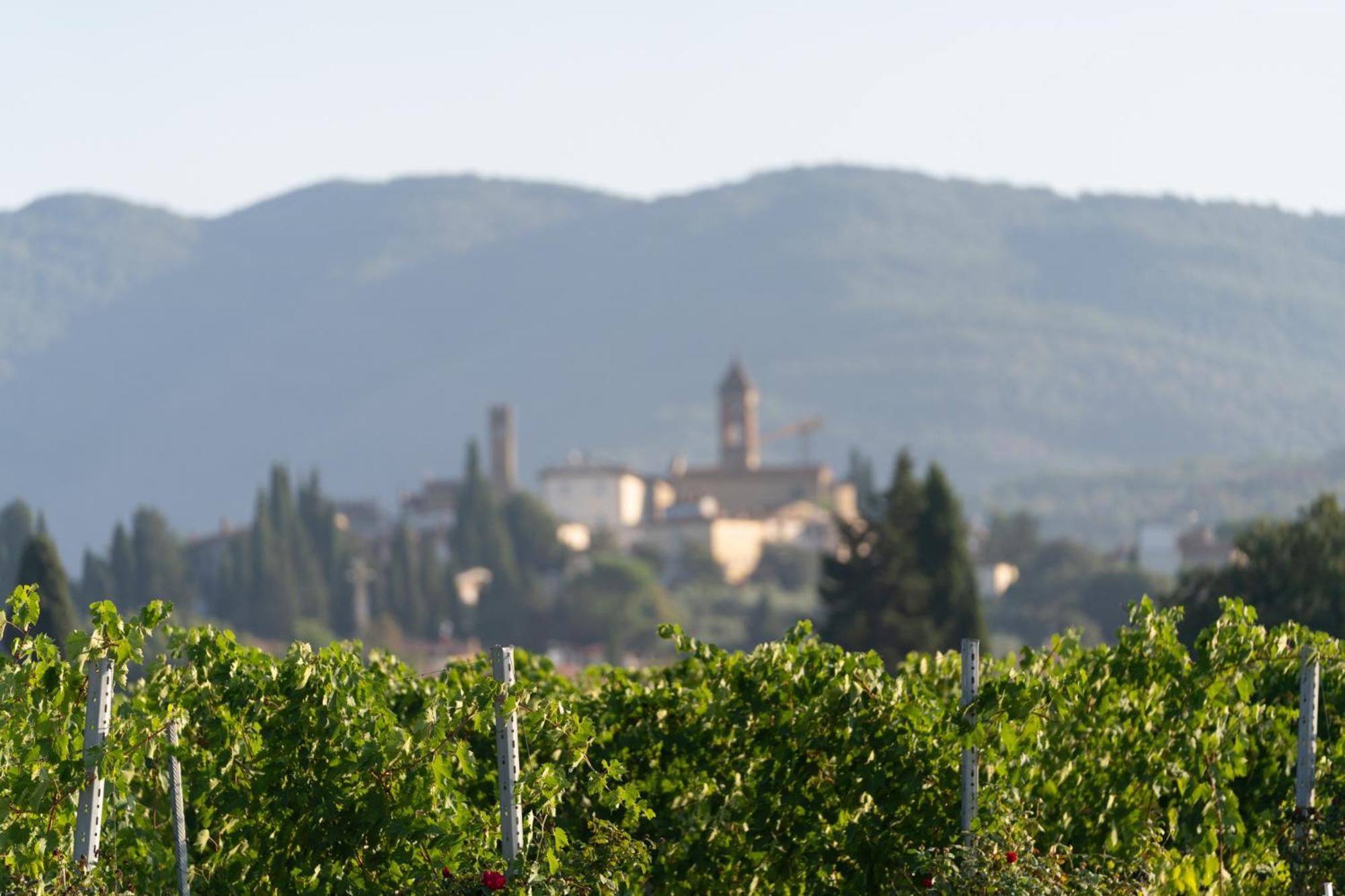 Cappannelle Country House Tuscany Castiglion Fibocchi Zewnętrze zdjęcie